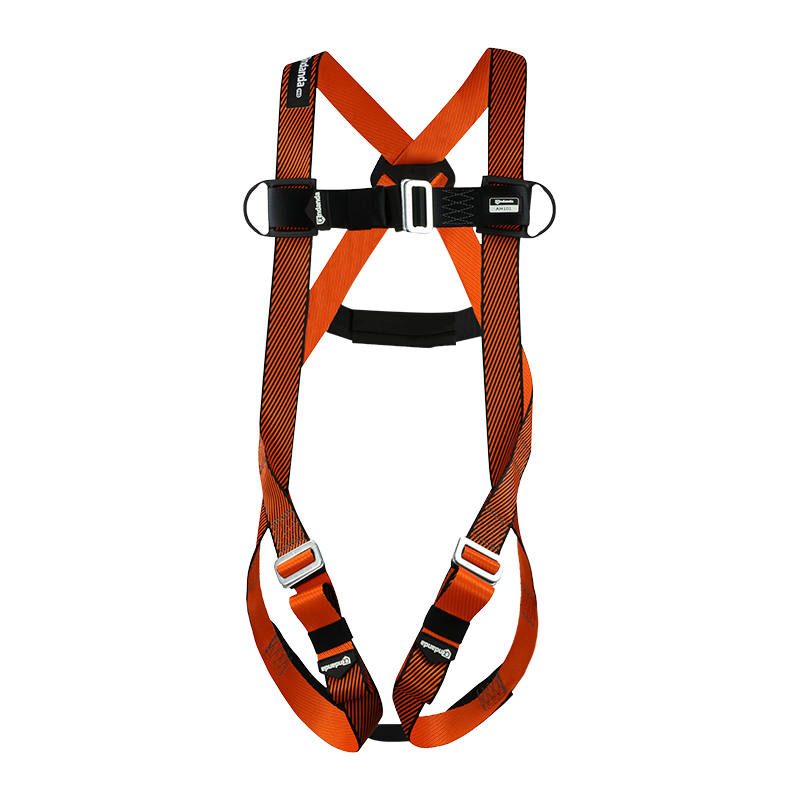 Double-point full body harness