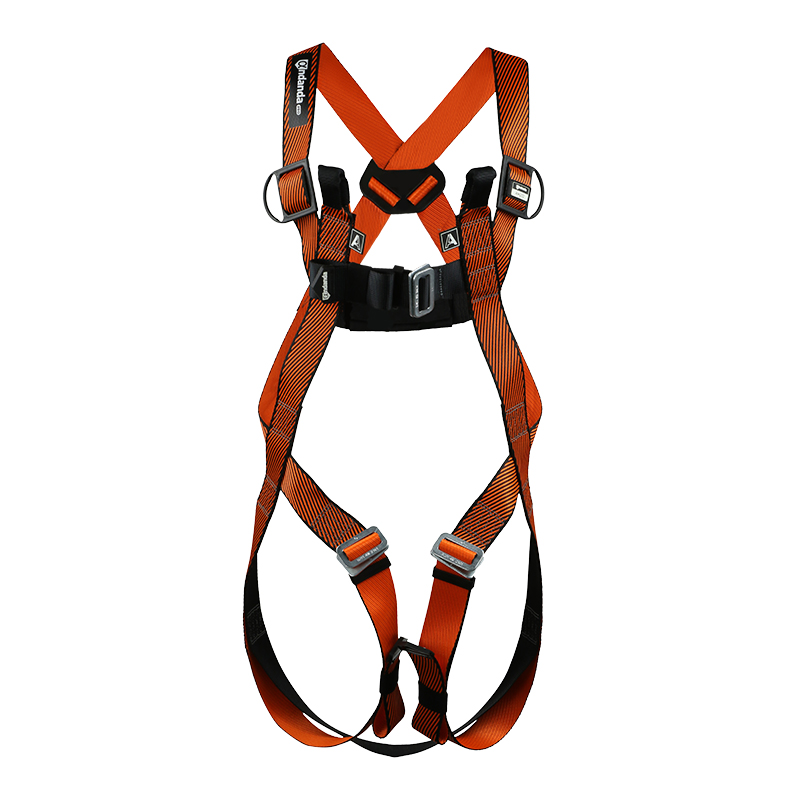 Double-point full body harness